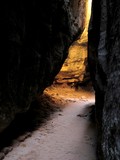 Joint Trail
