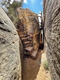 Joint Trail