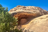Roadside Ruin