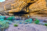 Cave Spring Trail