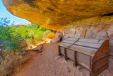 Cave Spring Trail
