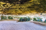 Cave Spring Trail