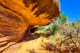 Cave Spring Trail