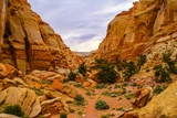 Cohab Canyon