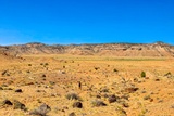 Lower Cathedral Valley Overlook