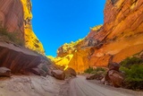 Photos/Images de Capitol Reef National Park
