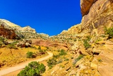 Golden Throne Trail