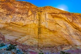 Golden Throne Trail
