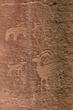 Pétroglyphes