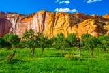 Fruita
