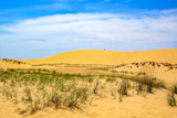 Jockey's Ridge State Park