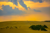 Jockey's Ridge State Park