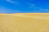Jockey's Ridge State Park