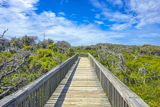 Pea Island National Wildlife Refuge