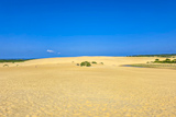 Jockey's Ridge State Park