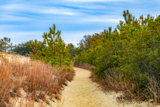 Jockey's Ridge State Park