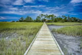 Marsh Boardwalk Trail