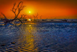Hunting Island Boneyard Beach