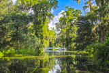 Big Cypress Lake
