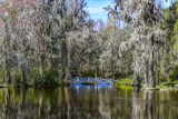 Big Cypress Lake