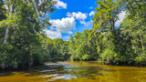 Waccamaw National Wildlife Refuge
