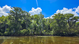 Waccamaw National Wildlife Refuge