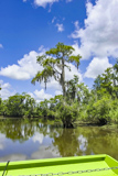 Waccamaw National Wildlife Refuge