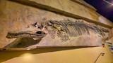Nevada State Museum