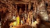 Stalagmite Forest