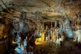 Stalagmite Forest