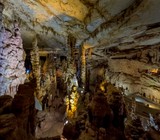 Stalagmite Forest