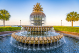 Pineapple Fountain