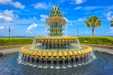 Pineapple Fountain
