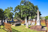 Magnolia Cemetery