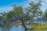 Magnolia Cemetery