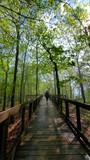 Bald Rock Trail