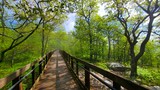 Photos/Images de Cheaha State Park