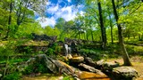 Cheaha State Park