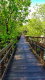 Bald Rock Trail