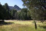 Silver Spur Meadow Trail