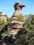 Camel's Head
