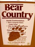 Bear Country