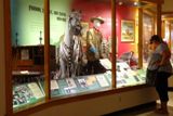Buffalo Bill Museum, vitrines