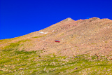 Pikes Peak Cog Railway
