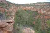 South Fork Indian Canyon
