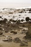 Eléphants de mer près de San Simeon