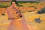 Cottonwood Cove