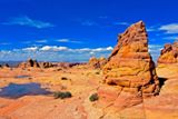 Cottonwood Cove