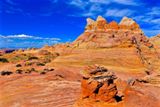 Cottonwood Cove