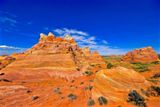 Cottonwood Cove